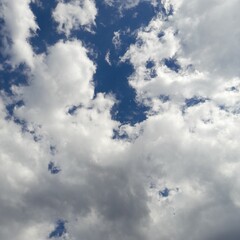 Wall Mural - clouds in the sky