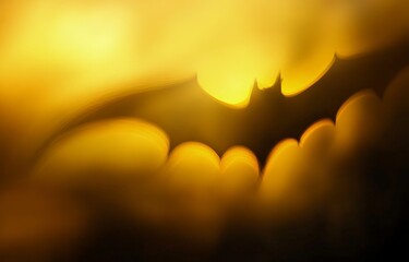 Wall Mural - A blurred yellow and dark brown background with soft, out-of-focus light in the shape of bat wings, creating an abstract art effect