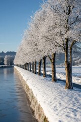 Wall Mural - row of trees next to lake