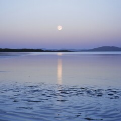 Wall Mural - A full moon rising over a calm ocean casting soft silver reflections on the water ar 16:9 v 6.1 q 2