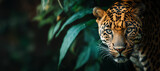 A powerful jaguar gazing through foliage, representing nature's beauty and the rawness of wildlife.