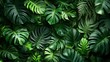 © Jamal - Lush green tropical leaves background with a variety of textures.