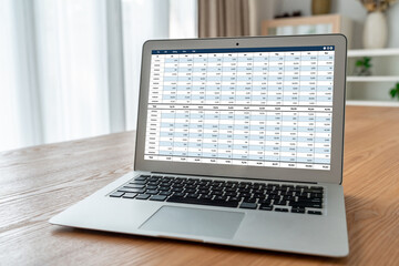 Poster - accounting software on computer screen showing financial statement spreadsheets and account balance 