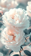 Fototapete - Elegant soft pink peonies blooming in a serene garden setting exuding beauty and grace : Generative AI