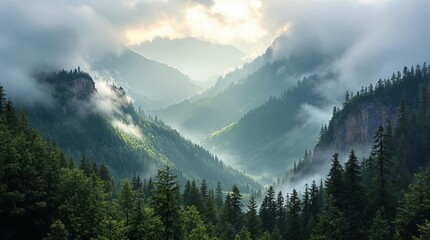 Fototapete - A breathtaking panoramic view of a forested mountain range enveloped in mist, with the sun's rays piercing through the clouds, casting a golden hue over the lush green of the trees and the rolling hil