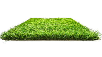 Wall Mural - square of green grass growing on transparent background