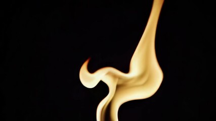 Poster - Flame resembling a bird shape on a black background. Fire and shadow concept