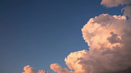 Poster - Fluffy pink clouds against clear blue sky at sunset, serene nature scene
