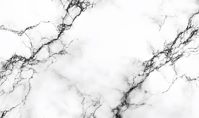 Poster - Elegant White Marble Texture with Dark Veins for a Sophisticated Background