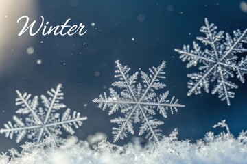 Poster - Delicate snowflakes dance in a winter wonderland under a gentle light, capturing the magic of the season in serene beauty. Generative AI