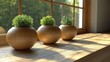 © arsyi_06 - Potted plants on windowsill, sunlight, home interior, garden background