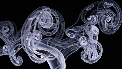 Leinwandbilder - White smoke swirling on black background in abstract fluid pattern. Artistic design concept