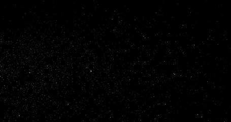 Wall Mural - Natural Organic Dust Particles Floating On Black Background. Dynamic Dust Particles Randomly Float In Space. Shimmering Glittering Dust Particles With Bokeh. Slow motion on Black Background.