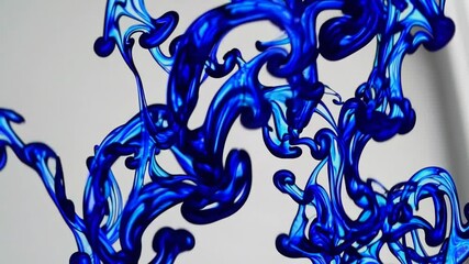 Poster - Abstract liquid art with blue ink swirl in water on white background