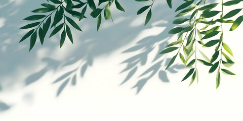 Poster - Photo Background Leaves Shadows White Minimalist Nature Green Summer