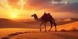 © Nova - Desert Camel Silhouette at Sunset A Majestic Beast Journeys Across Golden Sands Under a Fiery Sky