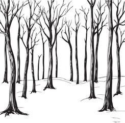 trees in the forest