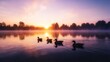 © ngamaz - Ducks swimming sunrise lake misty dawn