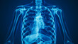 © manassanant - Normal human chest xray image.