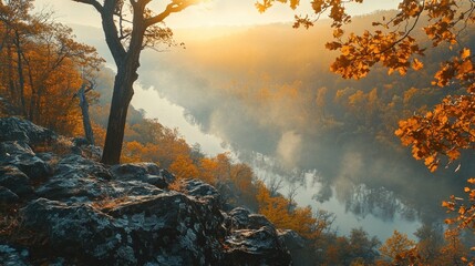 Wall Mural - river scene with sunlight
