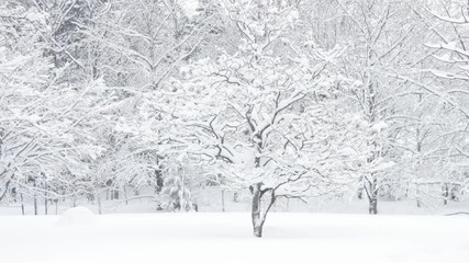 Wall Mural - small snow-covered tree growing in fresh deep winter snow landscape