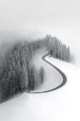Wall Mural - snowy forest road