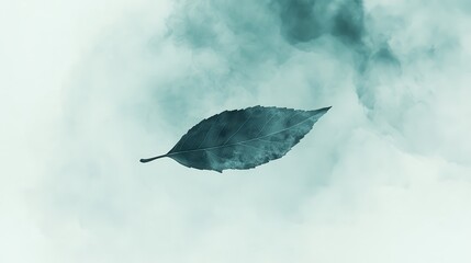 Poster - Silhouette of a single leaf gracefully floating against a soft, blurred background