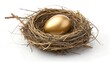 © Md Abu Saeid - Golden Egg Nest, Symbolic Treasure for Wealth, golden, egg, nest, symbolic, treasure, wealth, shiny, luxury, valuable, precious, ornate, success, prosperity, rich, bright, unique, elegant, investment,