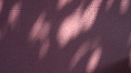 Poster - Calming Light and Soft Shadows on Textured Pink Wall Create Serene Atmosphere