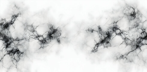 Poster - elegant white marble texture with delicate black veins, creating a sophisticated and luxurious backg