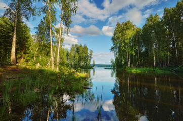 Wall Mural - russian landscape: birch trees and sky reflecting in the water, with the river stretching out into t