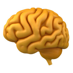 Poster - 3D Rendered Visualization of a Human Brain with Detailed Neural Structure Highlighting the Complex Sulci Gyri Cerebellum and Brainstem for Scientific Educational and Medical Applications