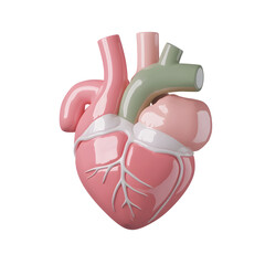 Poster - 3D visualization of a detailed heart anatomy model showcasing essential structures like the atria ventricles and major arteries in a smooth polished style  Ideal for medical presentations textbooks