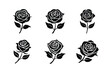 © tanbirmiah - Set of Rose flower vector illustration.