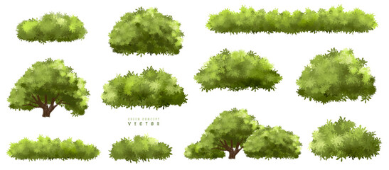 Wall Mural - vector watercolor green tree or forest side view isolated on white background for landscape and arch