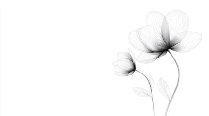 Aufkleber - A continuous line drawing of a flower, elegant and simple, creating a modern, artistic effect.