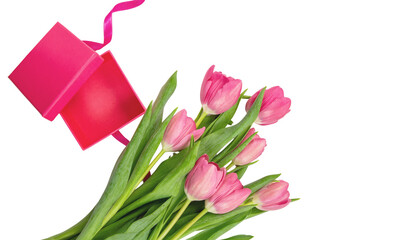 Wall Mural - mothers day, women day. gift box and pink tulips flowers isolated on white, transparent.