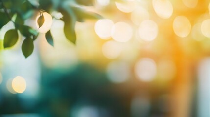Poster - Golden sunlight filters through lush green leaves, creating a dreamy bokeh effect that envelops the surroundings in warmth and tranquility. A perfect moment in nature invites peaceful reflection