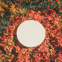 Poster - Autumn foliage with white circular podium for seasonal design and decoration
