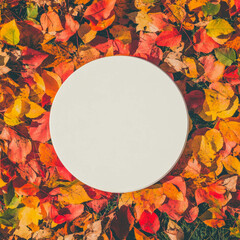Poster - Autumn concept with white circular podium surrounded by colorful fall leaves for seasonal design