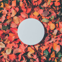 Poster - Minimalist white circular podium amidst vibrant autumn leaves for design and display