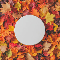 Poster - Autumn leaves background with white circular podium for seasonal designs