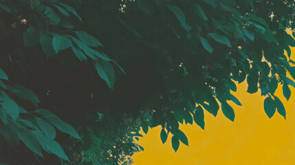 Poster - Lush forest canopy overlapping warm autumn sky for creative design