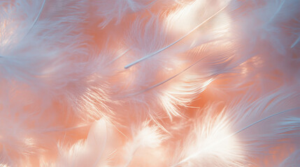 Aufkleber - Delicate bird feathers overlay texture with soft pastel tones for design and decoration