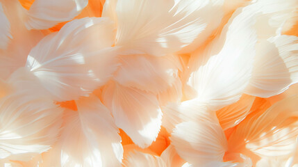 Aufkleber - Delicate flower petals texture overlay for creative designs and backgrounds