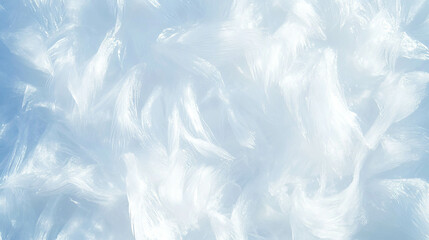 Poster - Delicate frost patterns on window glass for winter design