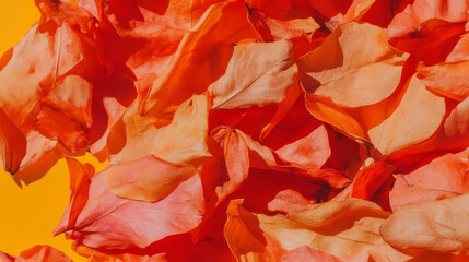 Poster - Autumn leaves texture overlay in warm orange and red hues for seasonal design