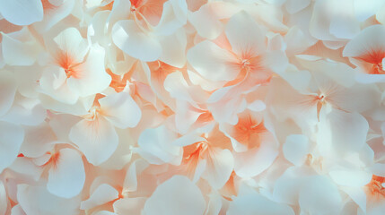 Poster - Elegant overlay texture of pressed dried flower petals for design and decoration