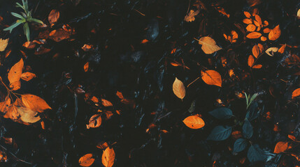 Aufkleber - Autumn decomposition texture with dried leaves for creative design projects