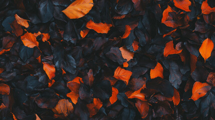 Poster - Intricate veins and texture of autumn dry leaves for nature design and background
